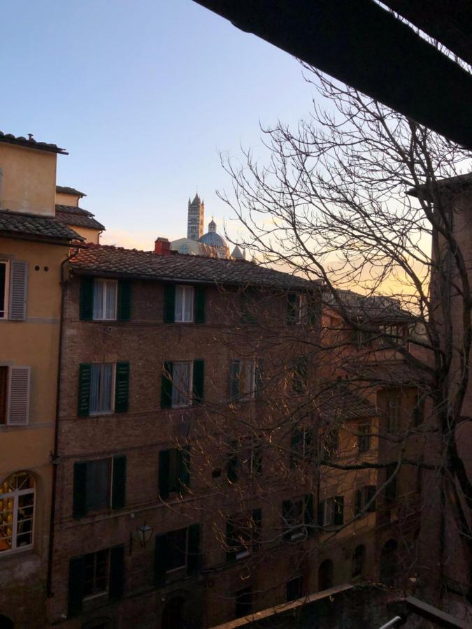 Teresa 91, Appartamento Incantevole Vista Duomo Siena Exteriér fotografie